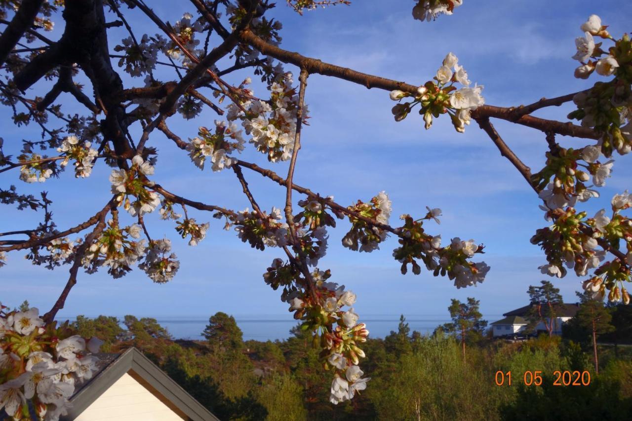 Risor Bed & Breakfast, Randvik Strand Esterno foto